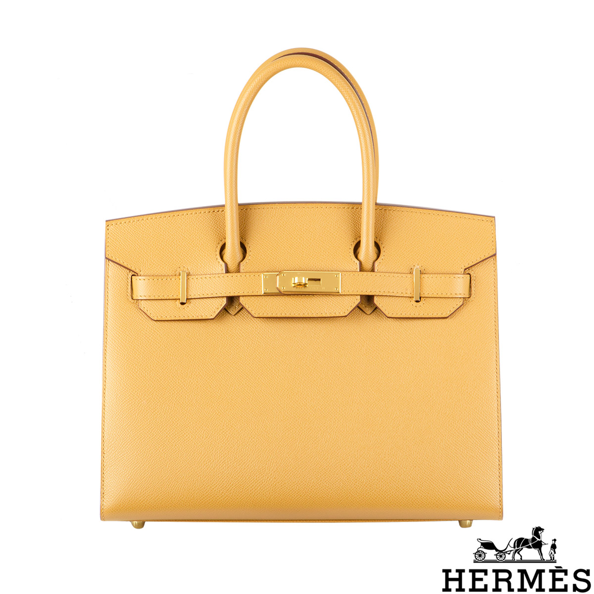 Hermès Special Order Birkin 25